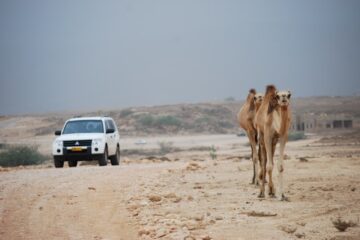 voyage dans le désert