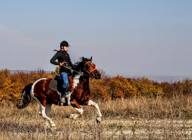 randonnées à cheval