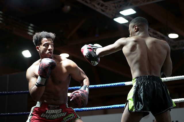 performances en boxe