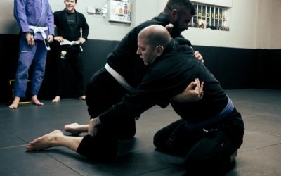 ceintures de judo