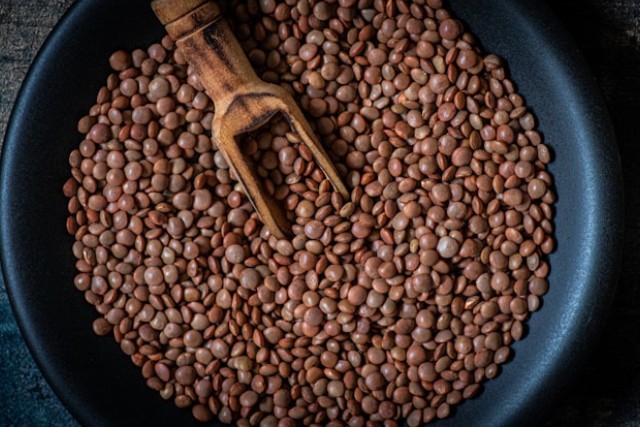 lentilles nutritionnelles