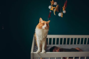 Chat orange et blanc sur berceau, enfant endormi, mobiles dorés et blancs